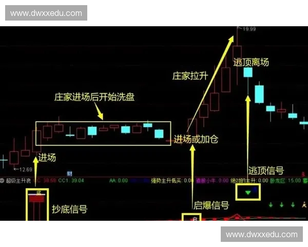 以换手突破为核心捕捉主升浪启动信号的实战策略解析系统化方法论