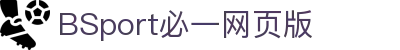 必一(运动科技有限公司)官方网站-B·Sport